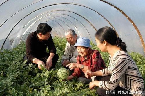92吃瓜网,92吃瓜网带你领略网络舆论风云