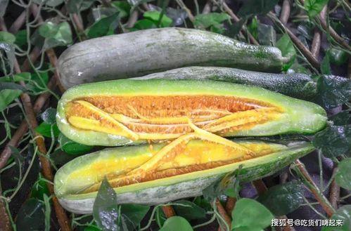 湖州网红吃瓜,揭秘幕后故事与热门话题