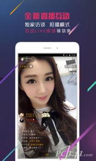 吃瓜网红资料视频下载,资料视频下载背后的故事