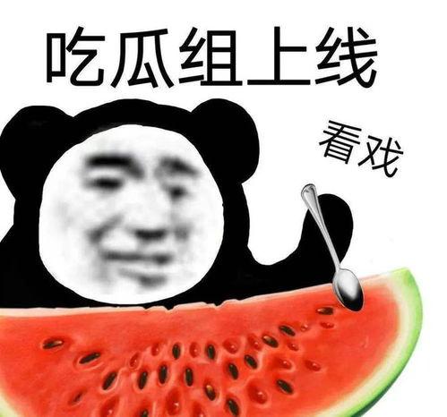 黑吃瓜料网地址,追踪网络黑产背后的秘密