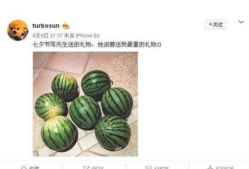 吃瓜网丽江网红,吃瓜网上的璀璨明星