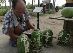 网红王大炮吃瓜图片,揭秘娱乐圈幕后真相